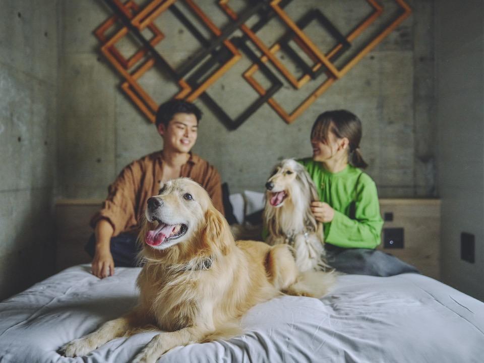 愛犬と泊まれるホテル　1HOTEL